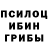 Галлюциногенные грибы Psilocybine cubensis ShoXie