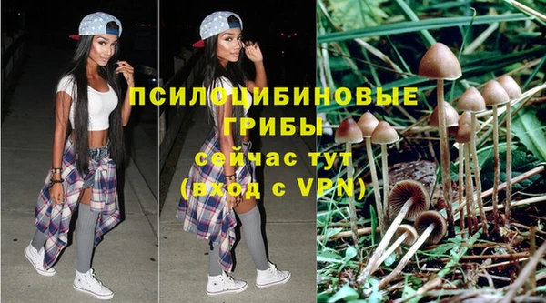 первитин Бородино