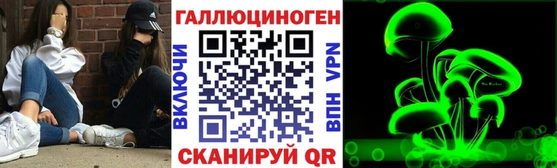 OMG tor Красноярск Псилоцибиновые грибы Psilocybine cubensis